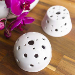Ranas Florales